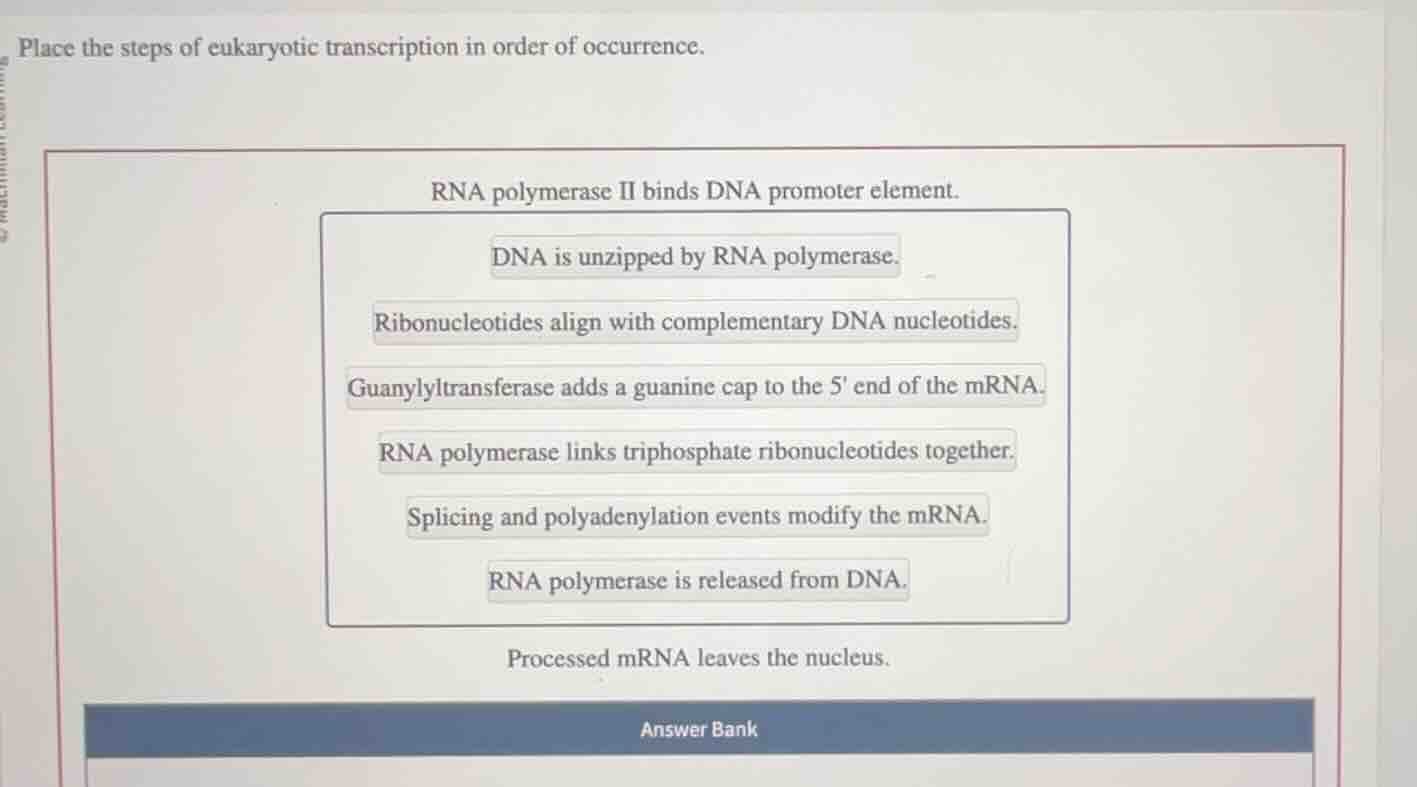 place the steps of eukaryotic transcription in order of occurrence. rna…