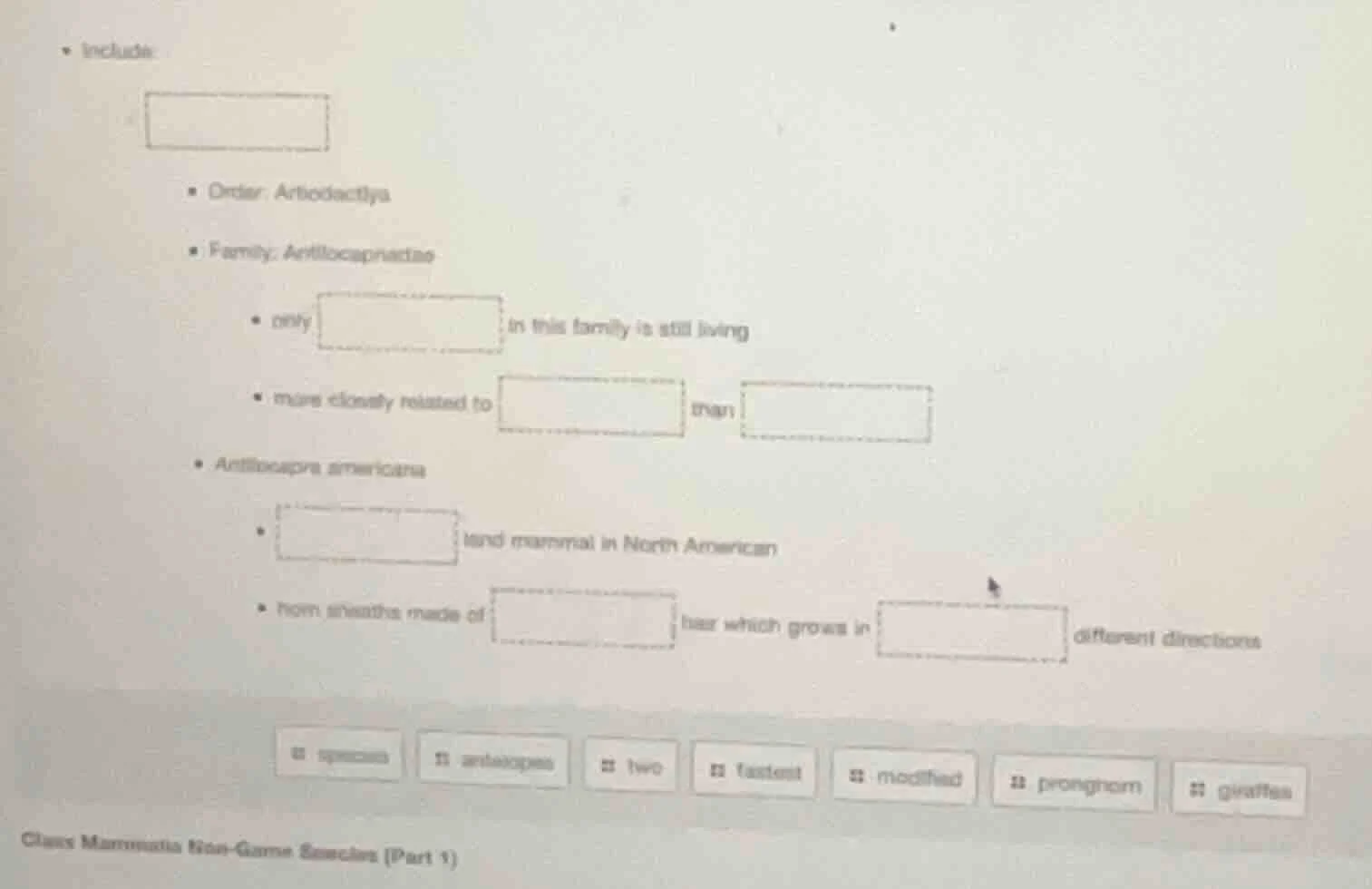 • include: • order: artiodactyla • family: antilocapridae • only in thi…