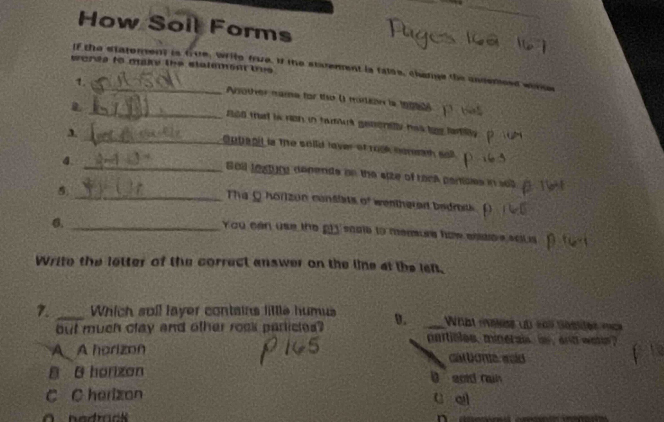 how soil forms if the statement is true, write true. if the statement i…
