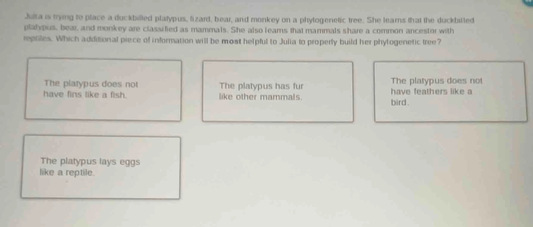 julia is trying to place a duckbilled platypus, lizard, bear, and monke…