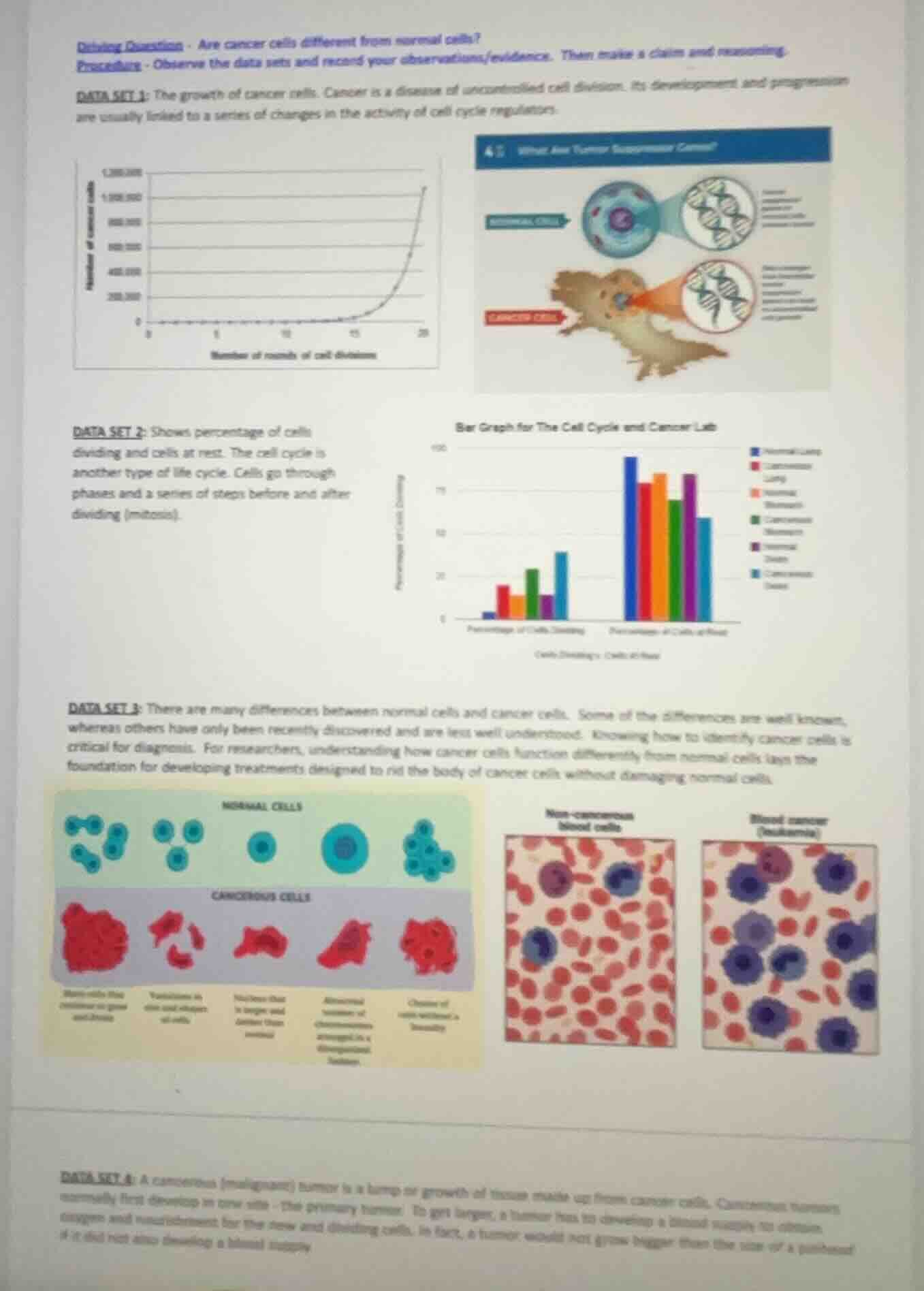 driving question: are cancer cells different from normal cells? procedu…