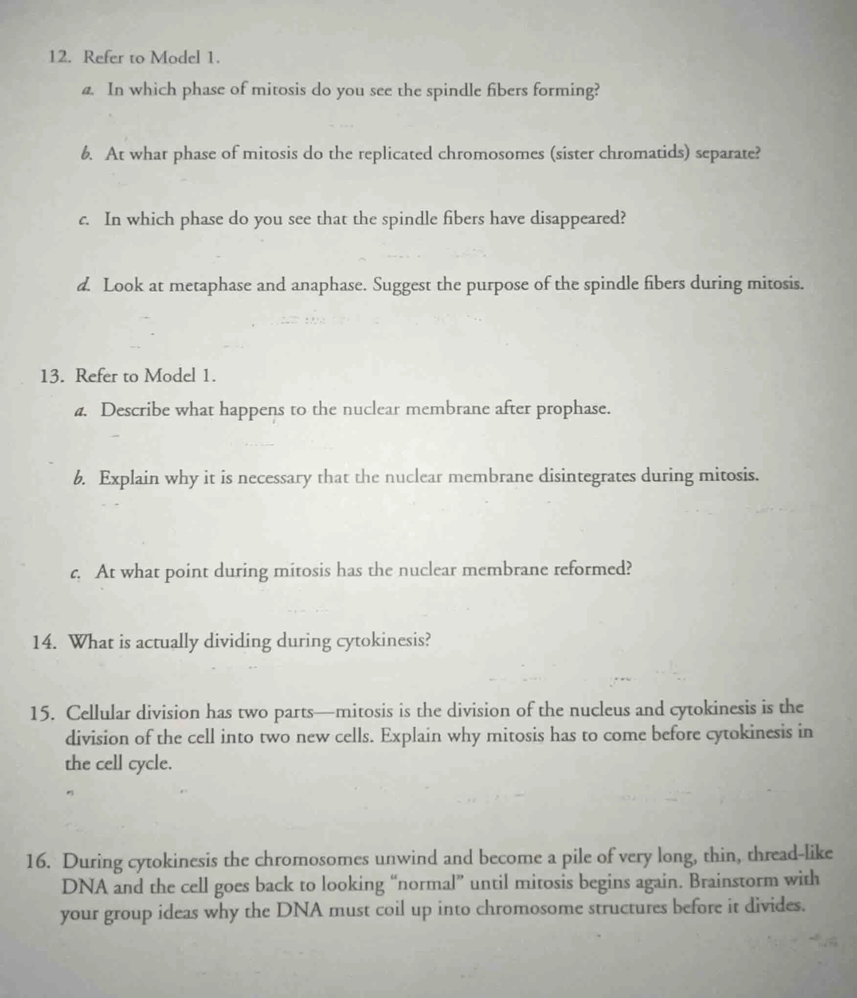 12. refer to model 1. a. in which phase of mitosis do you see the spind…