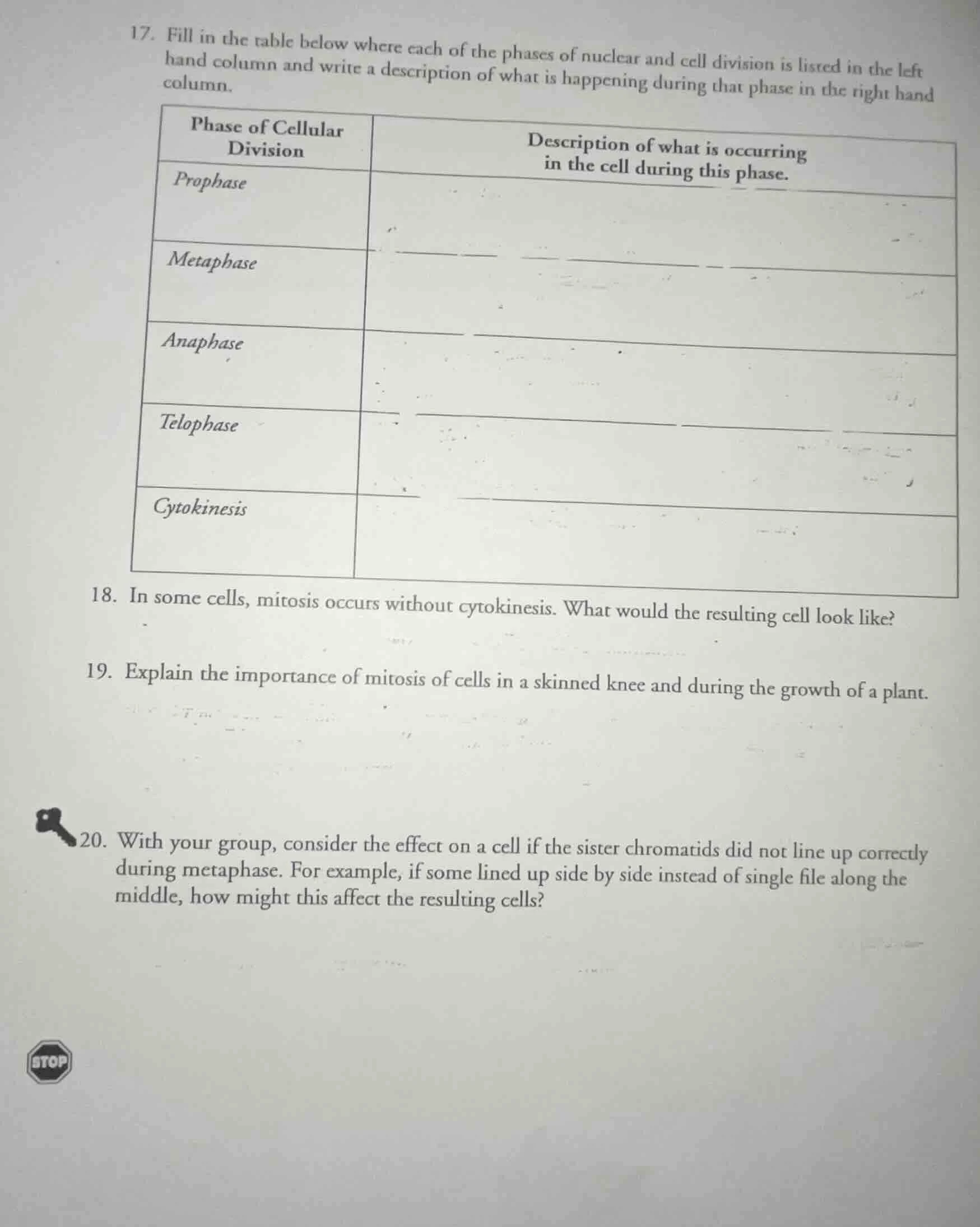 17. fill in the table below where each of the phases of nuclear and cel…