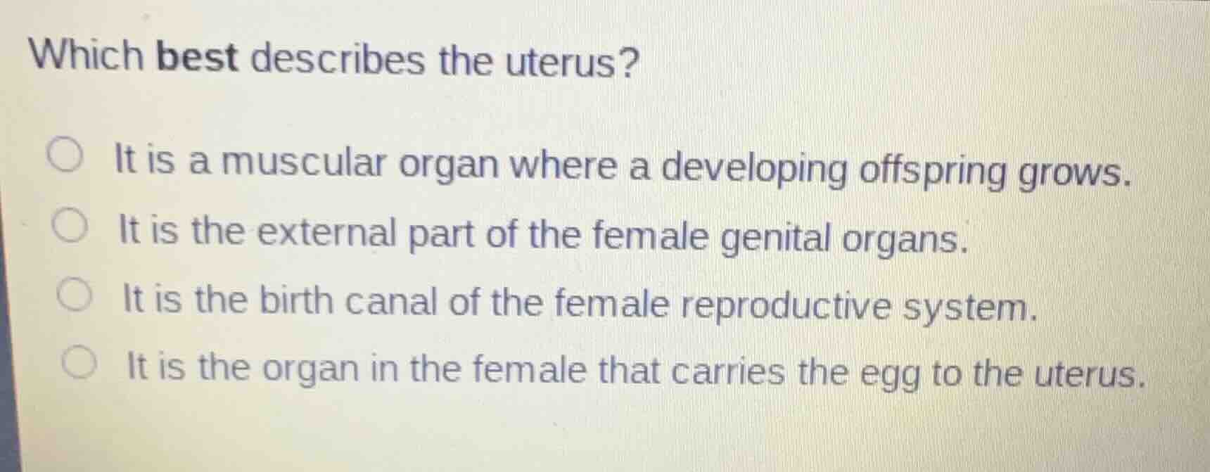 which best describes the uterus? it is a muscular organ where a develop…