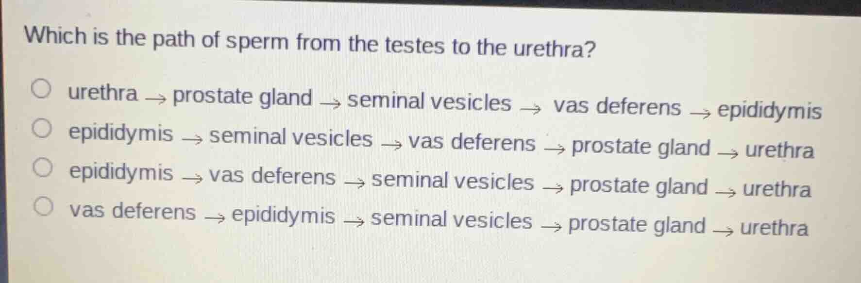 which is the path of sperm from the testes to the urethra? urethra → pr…