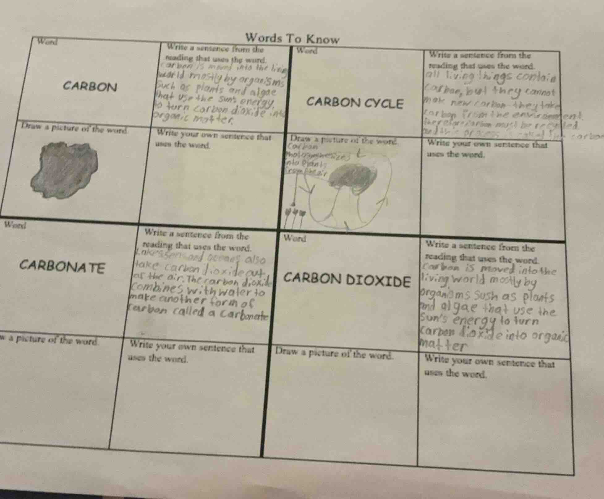 words to know carbon write a sentence from the reading that uses the wo…
