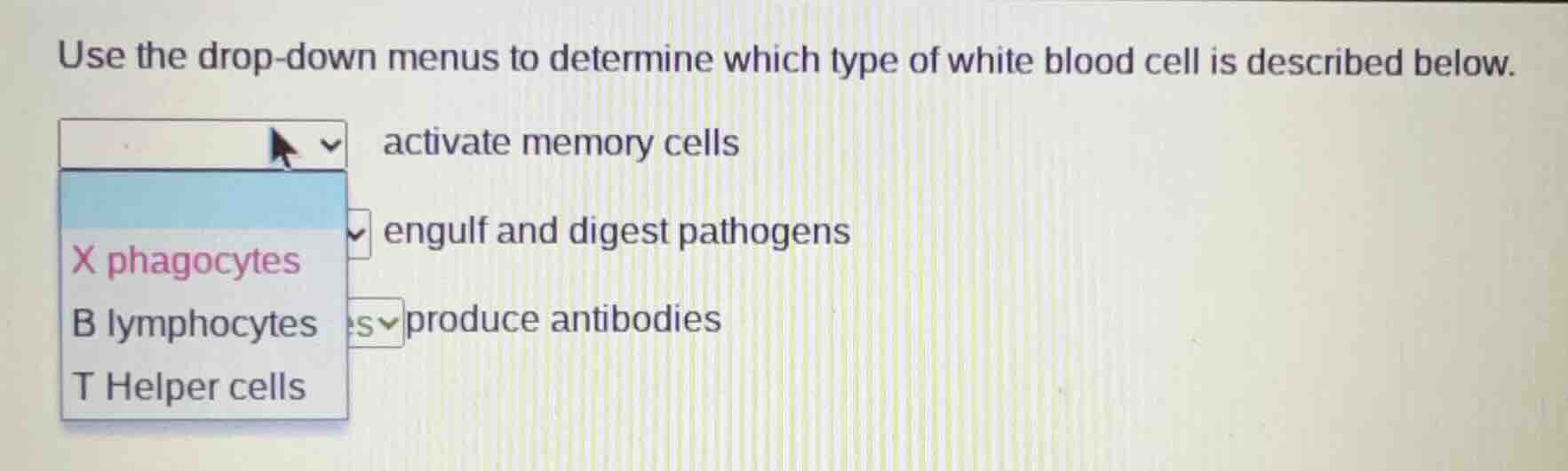 use the drop-down menus to determine which type of white blood cell is …