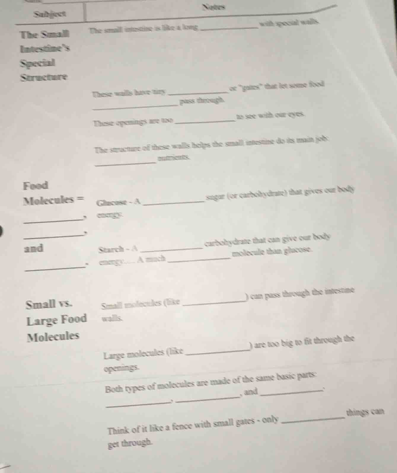 subject notes the small intestine’s special structure the small intesti…