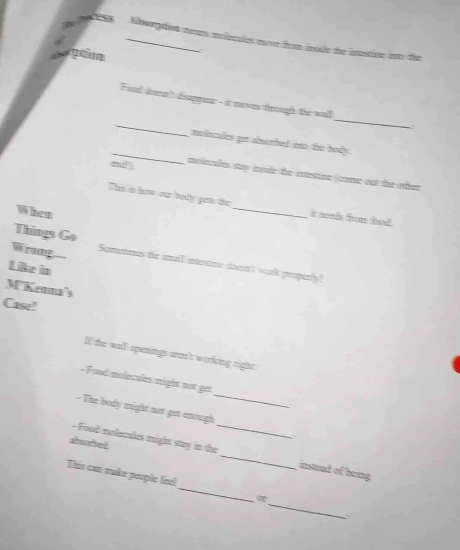 process of absorption absorption means molecules move from inside the i…