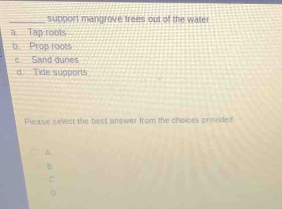 ______ support mangrove trees out of the water a. tap roots b. prop roo…