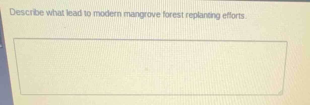 describe what lead to modern mangrove forest replanting efforts.