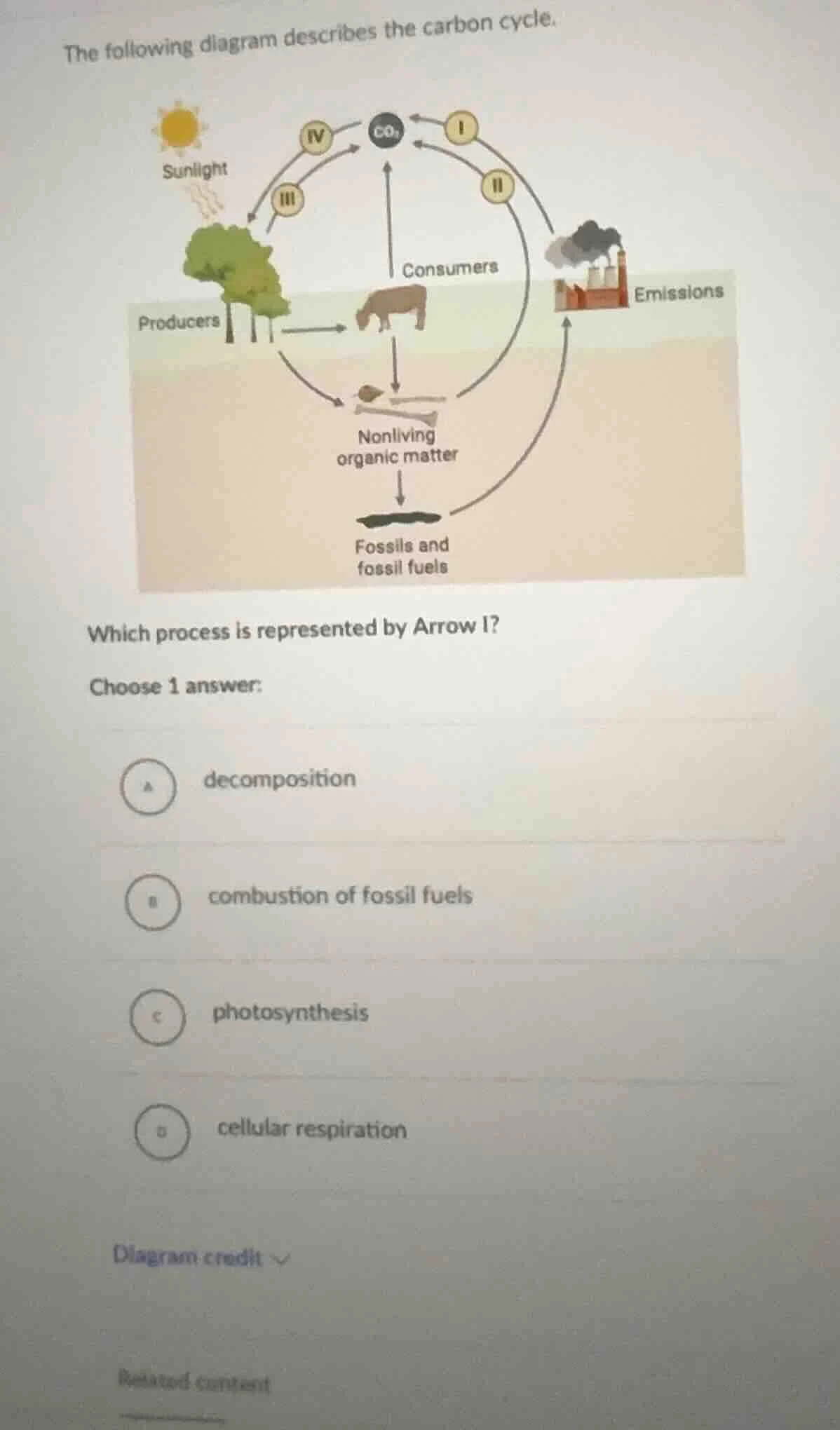 the following diagram describes the carbon cycle. which process is repr…