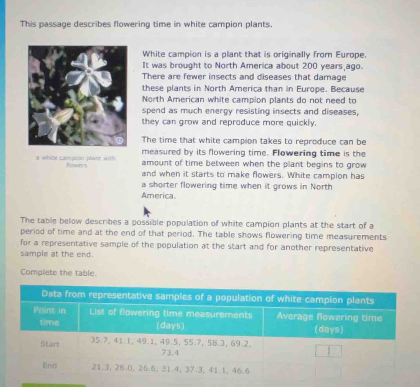 this passage describes flowering time in white campion plants. white ca…