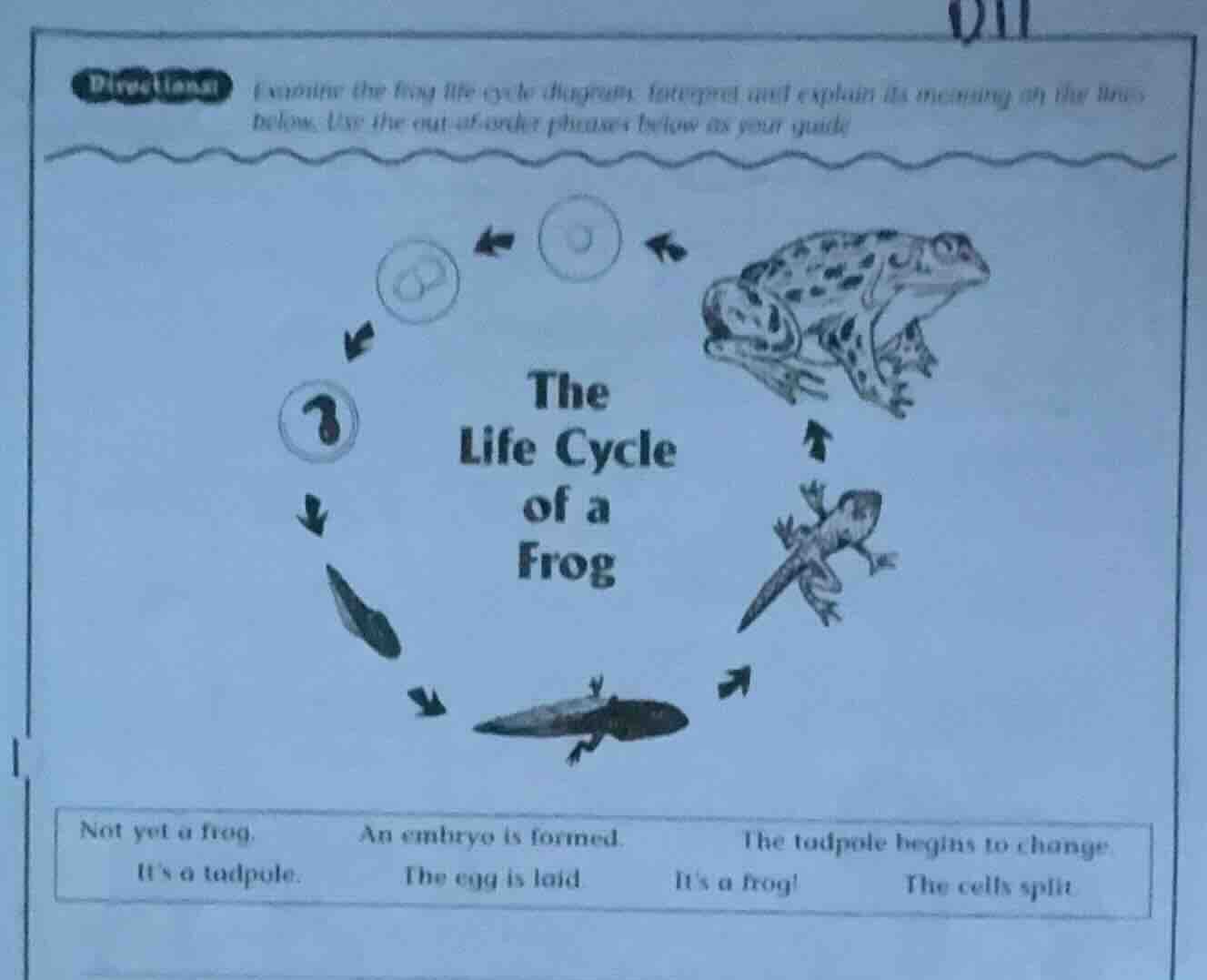 directions examine the frog life cycle diagram. interpret and explain i…