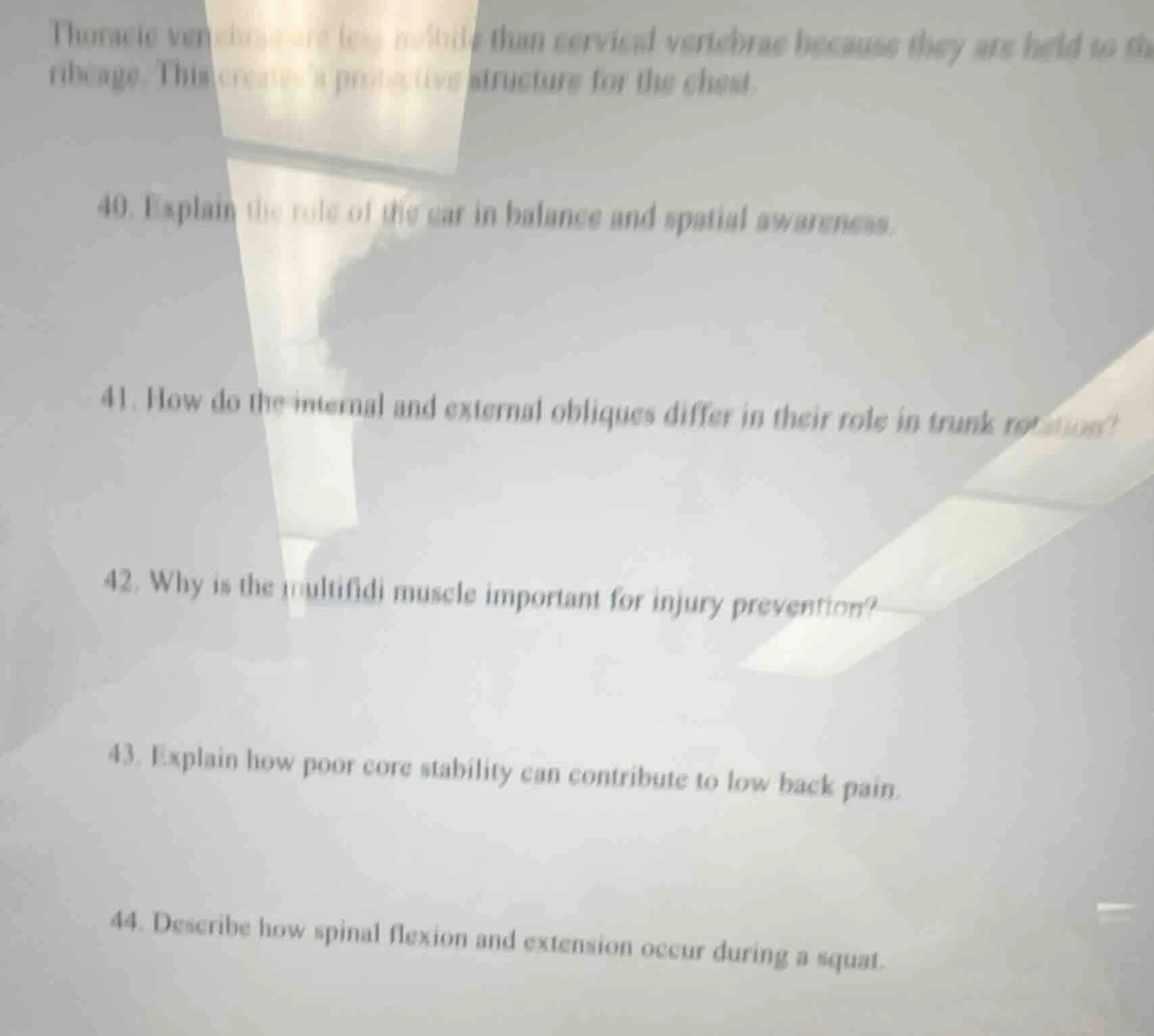 thoracic vertebrae are less mobile than cervical vertebrae because they…