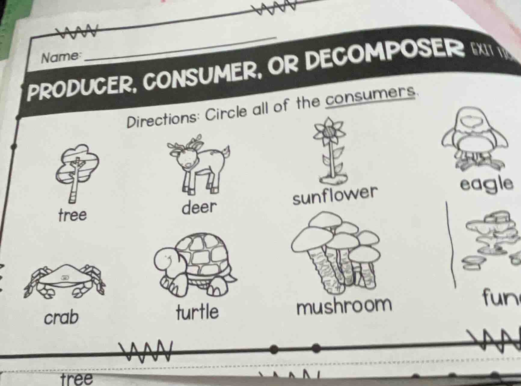 name: producer, consumer, or decomposer directions: circle all of the c…