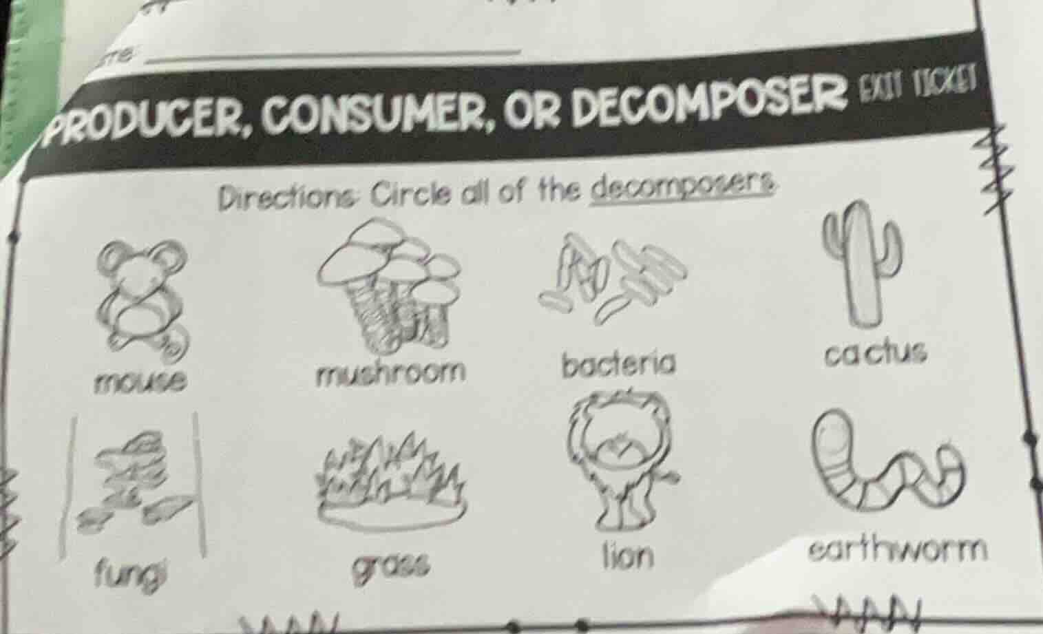 producer, consumer, or decomposer exit ticket directions: circle all of…