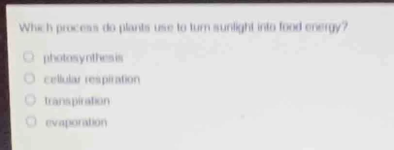 which process do plants use to turn sunlight into food energy? - photos…