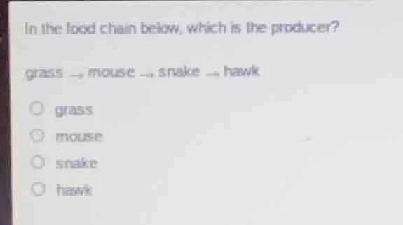 in the food chain below, which is the producer? grass → mouse → snake →…