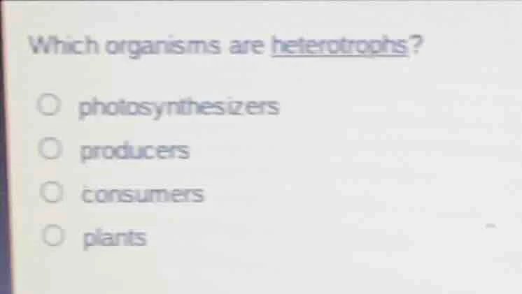 which organisms are heterotrophs? ○ photosynthesizers ○ producers ○ con…