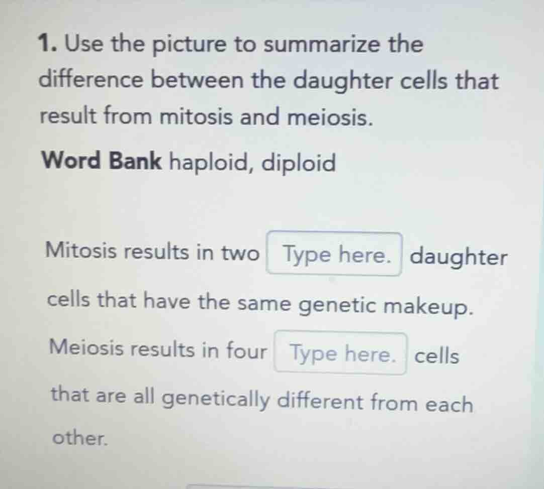 1. use the picture to summarize the difference between the daughter cel…