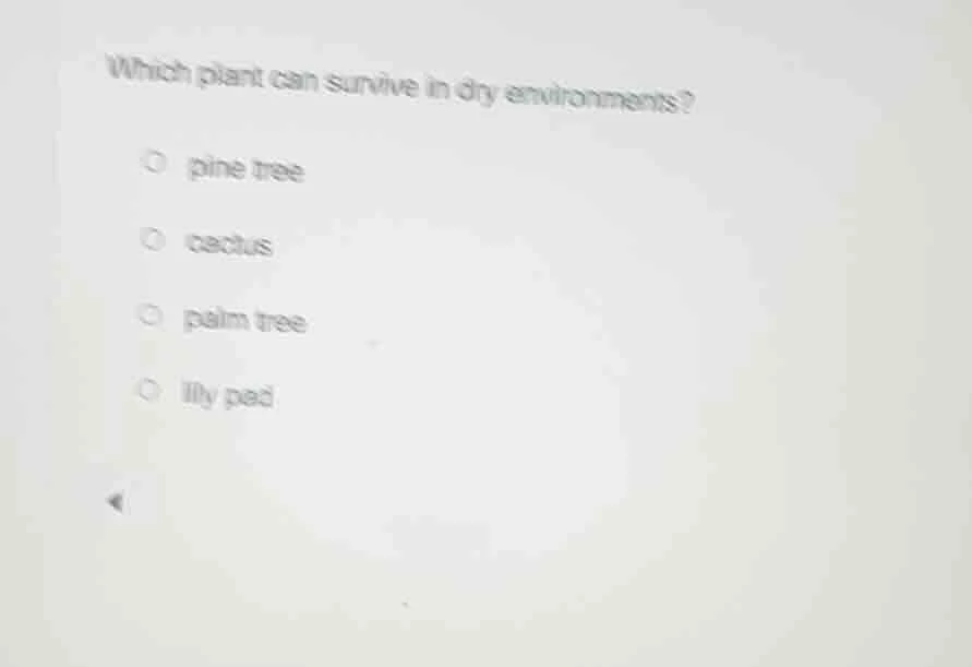 which plant can survive in dry environments? pine tree cactus palm tree…