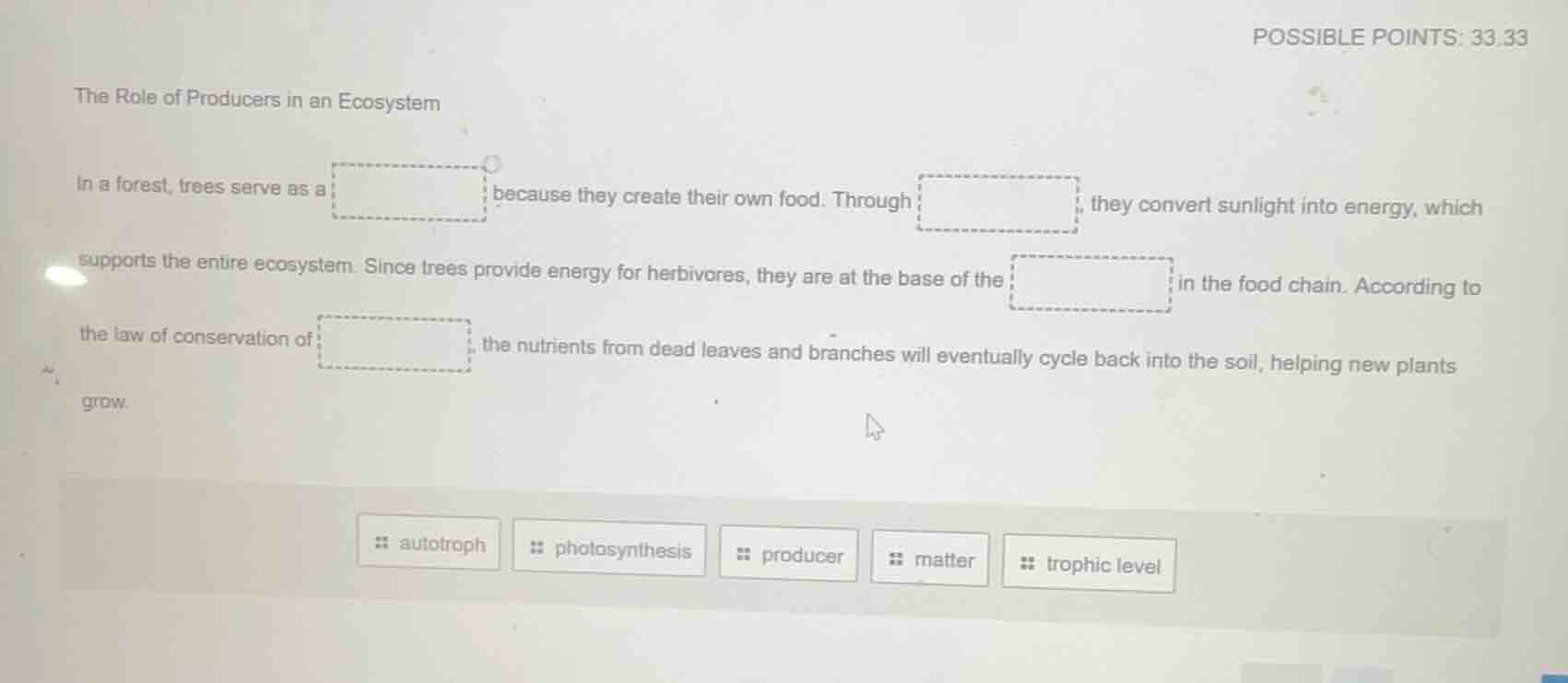 the role of producers in an ecosystem in a forest, trees serve as a bec…