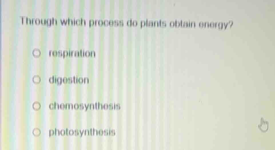through which process do plants obtain energy? respiration digestion ch…