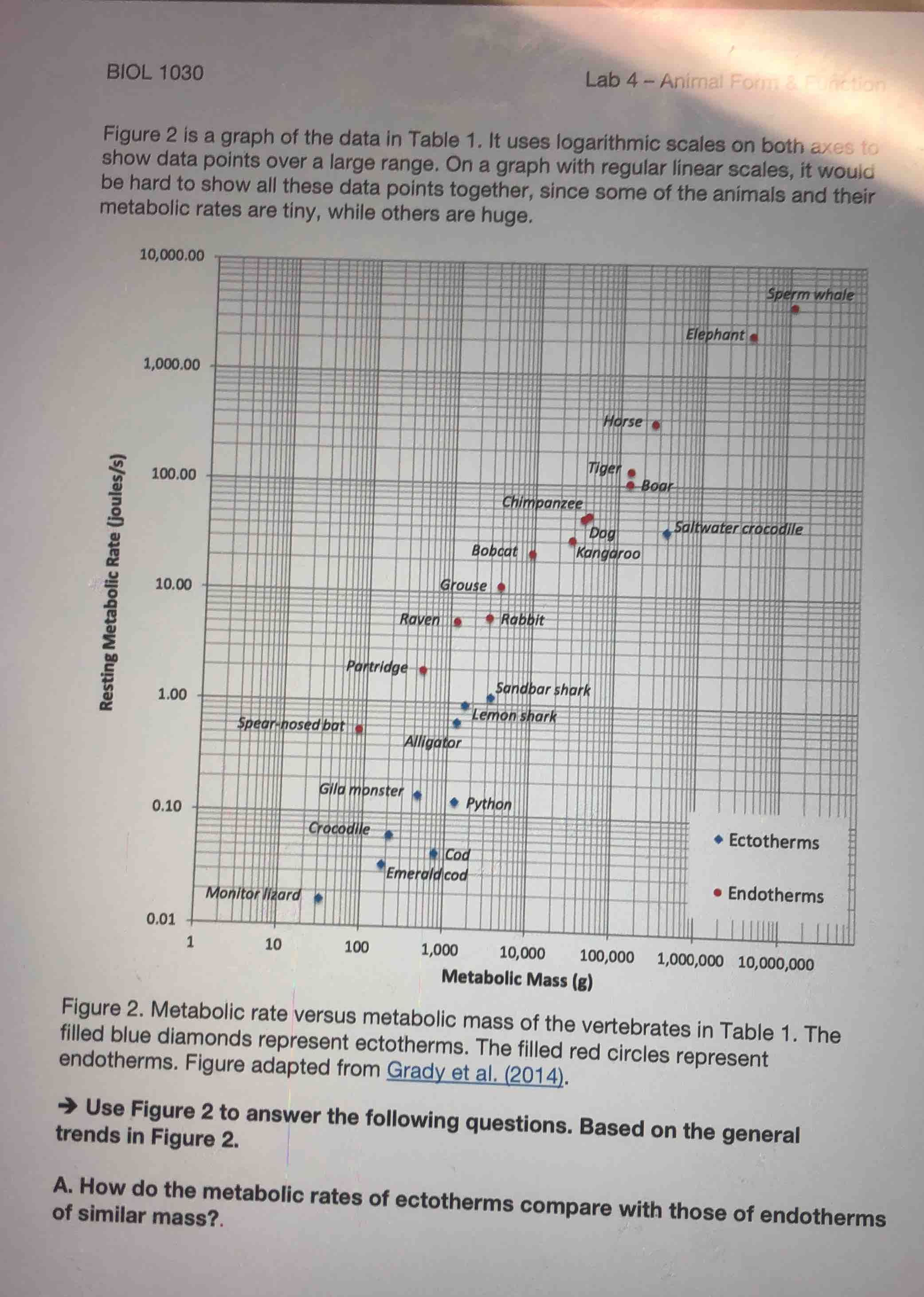 biol 1030 lab 4 – animal form & function figure 2 is a graph of the dat…