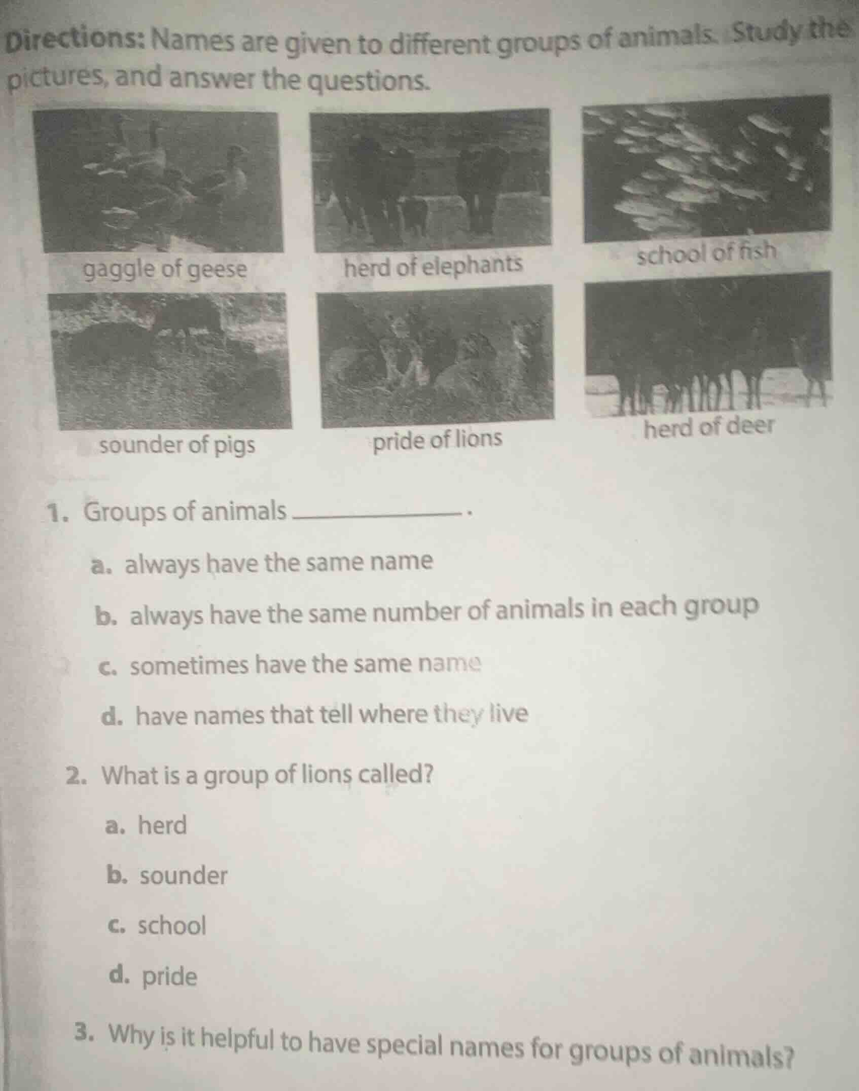 directions: names are given to different groups of animals. study the p…