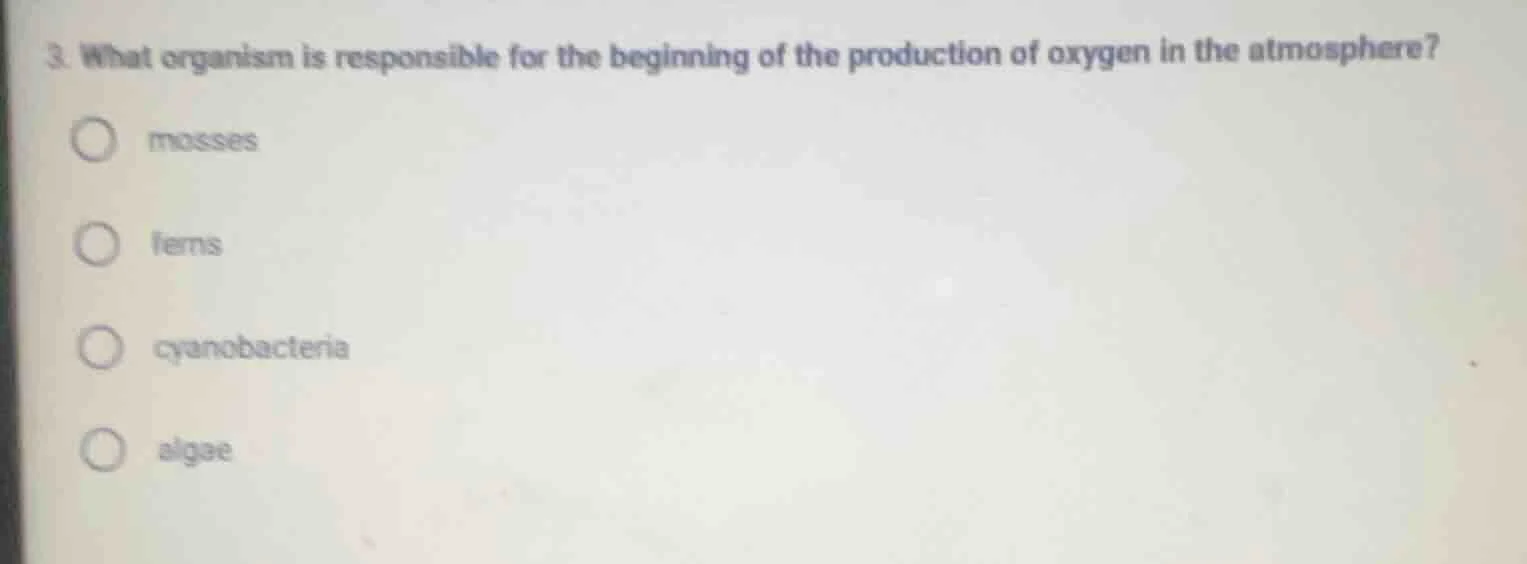 3. what organism is responsible for the beginning of the production of …