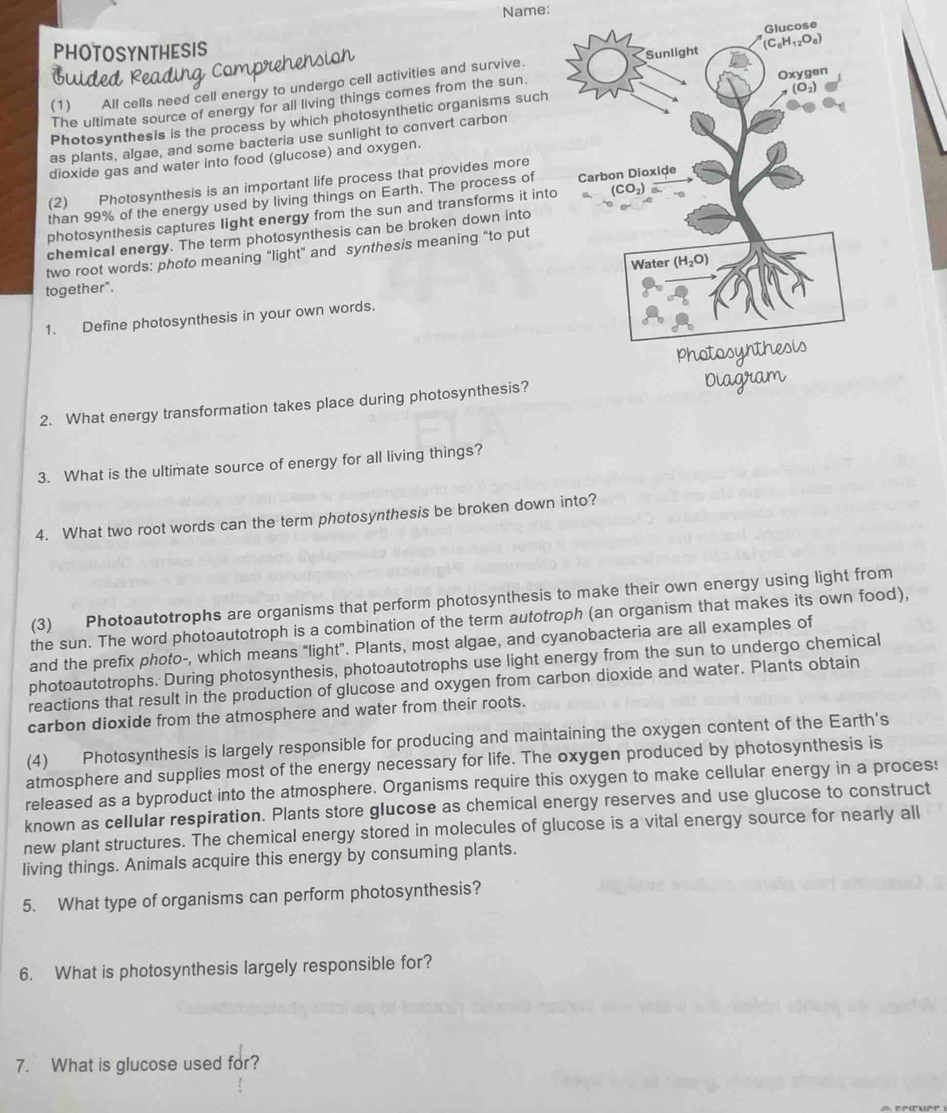 photosynthesis guided reading comprehension (1) all cells need cell ene…