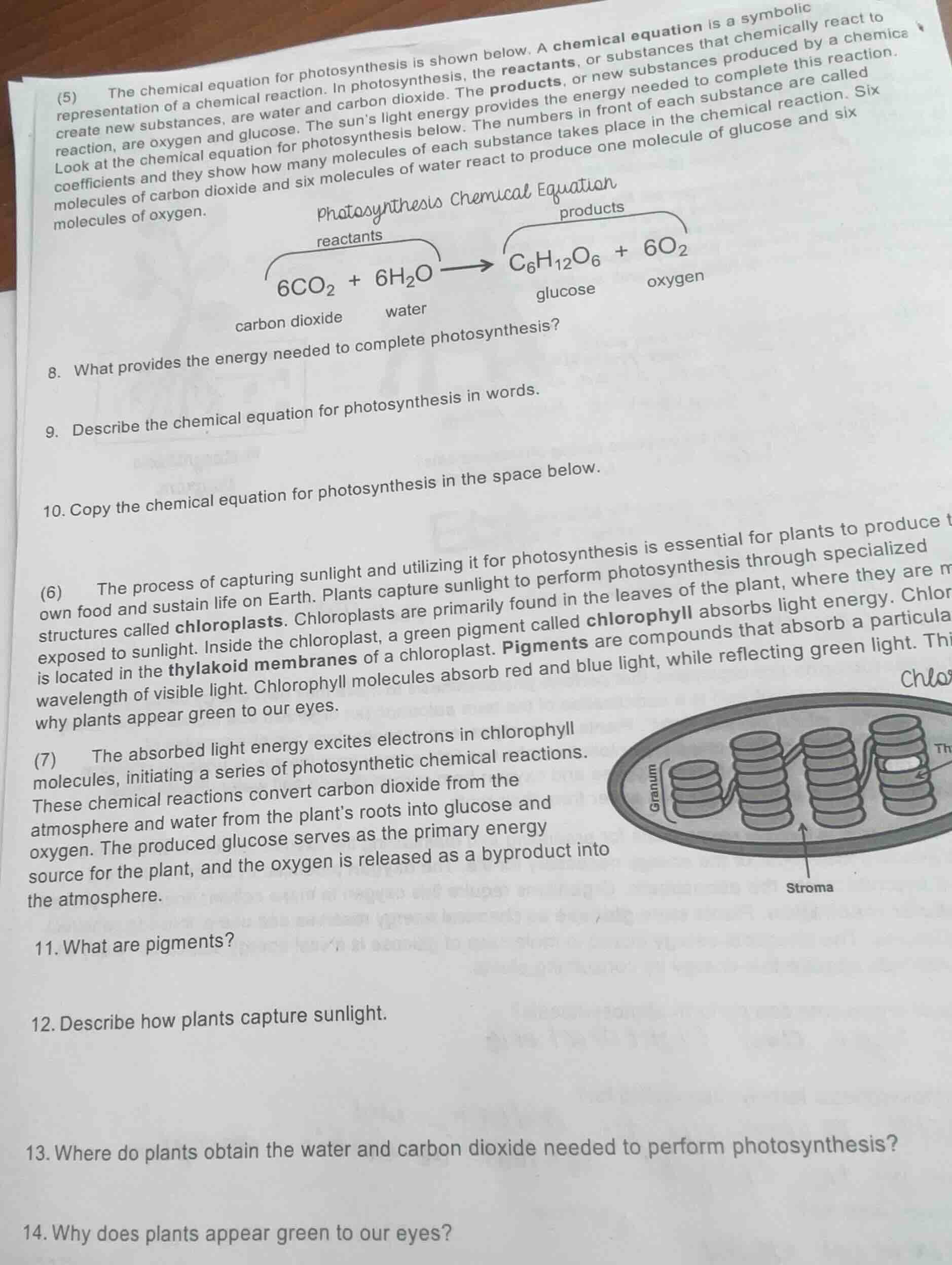 (5) the chemical equation for photosynthesis is shown below. a chemical…