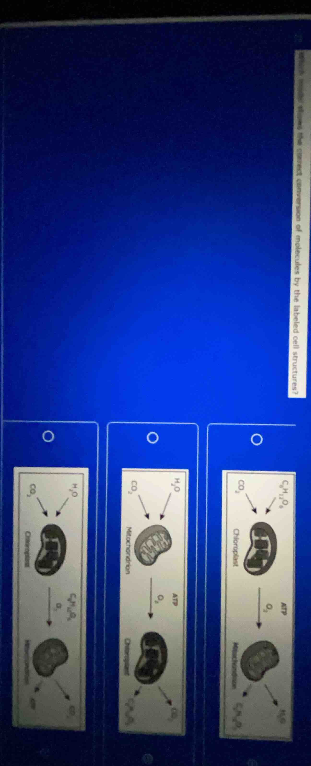 which diagram represents the correct conversion of molecules by the lab…