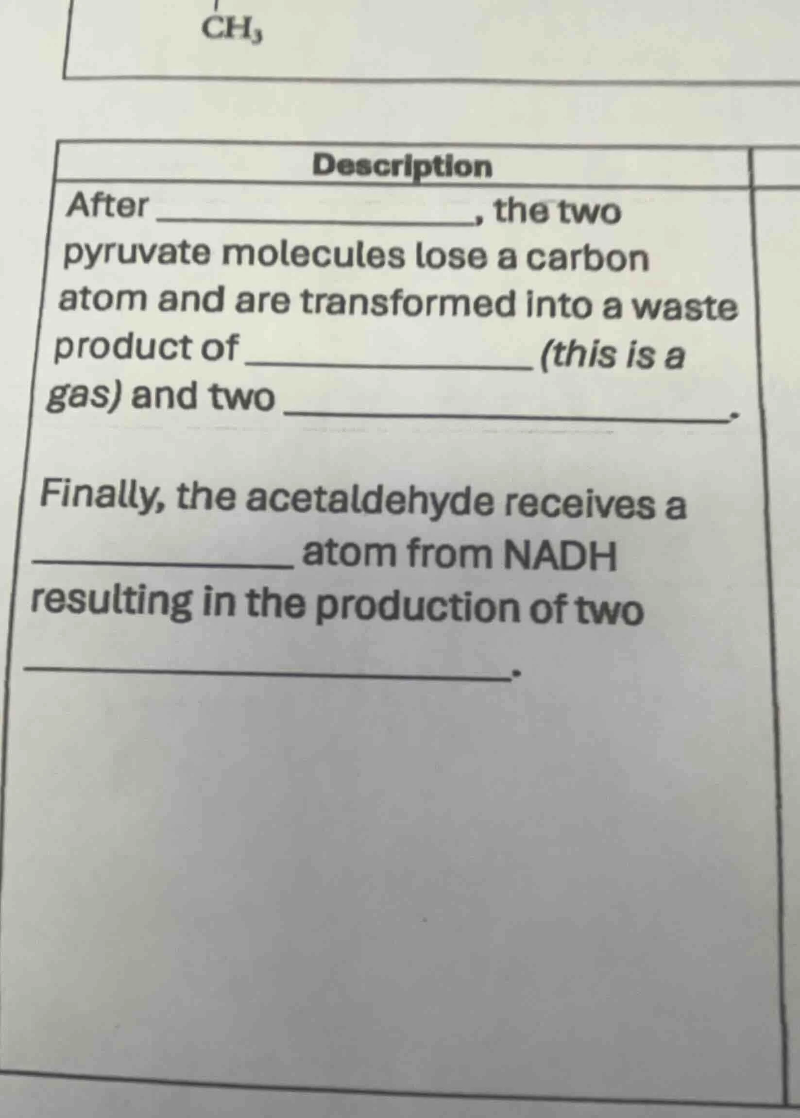 description after _______________, the two pyruvate molecules lose a ca…