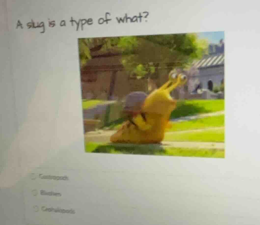 a slug is a type of what? ☐ gastropods ☐ bivalves ☐ cephalopods