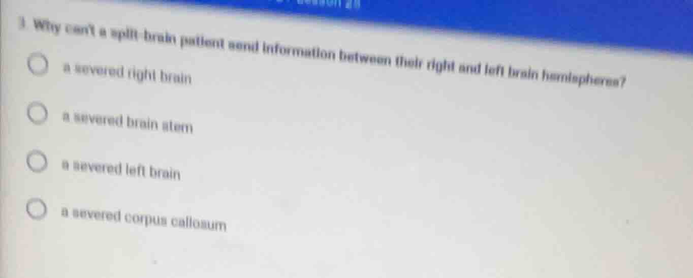 3 why cant a split - brain patient send information between their right…