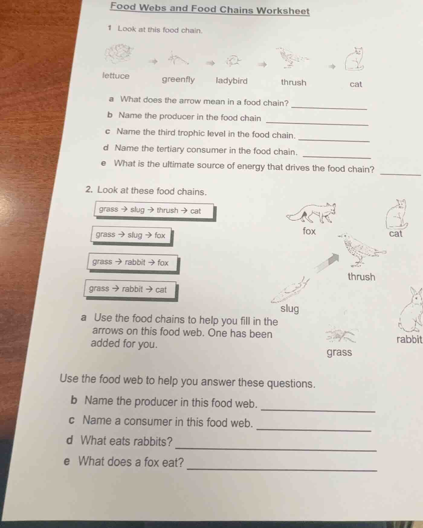 food webs and food chains worksheet 1 look at this food chain. lettuce …