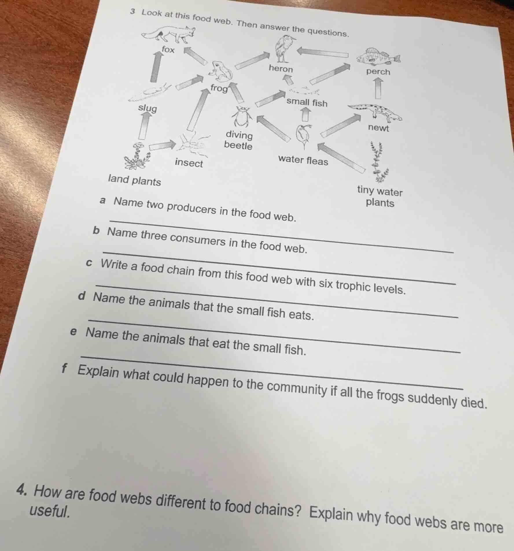 3 look at this food web. then answer the questions. a name two producer…