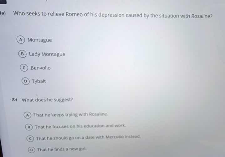 (a) who seeks to relieve romeo of his depression caused by the situatio…