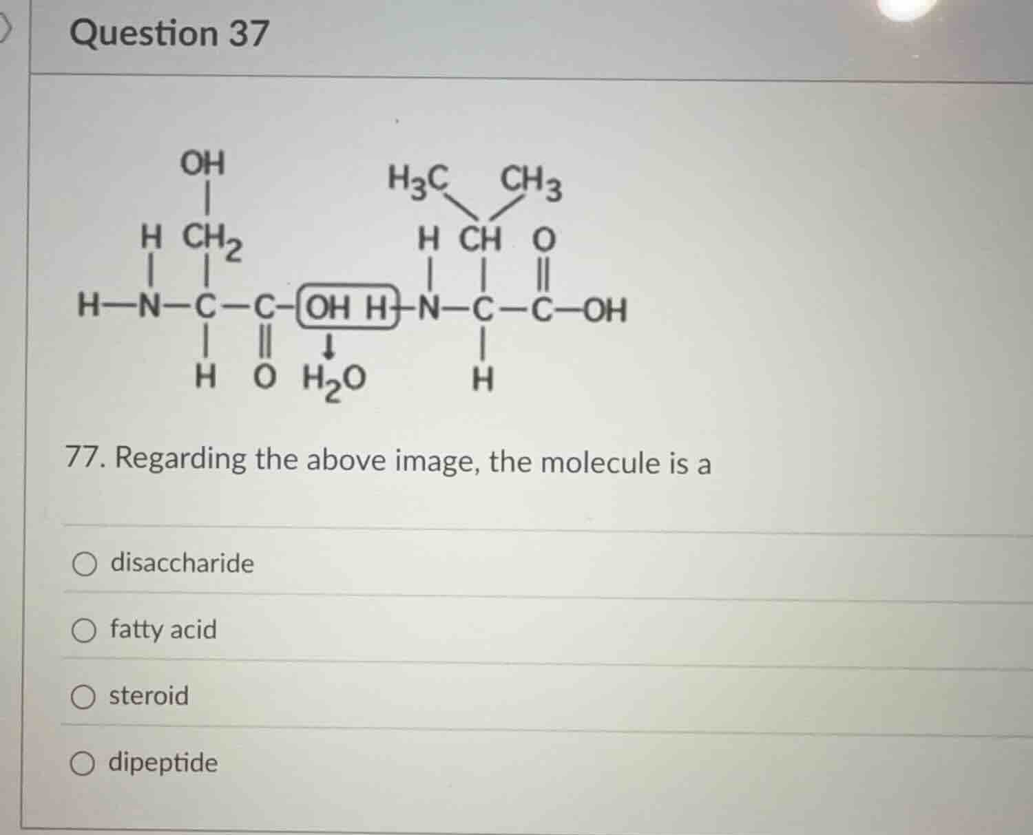 question 37 77. regarding the above image, the molecule is a disacchari…