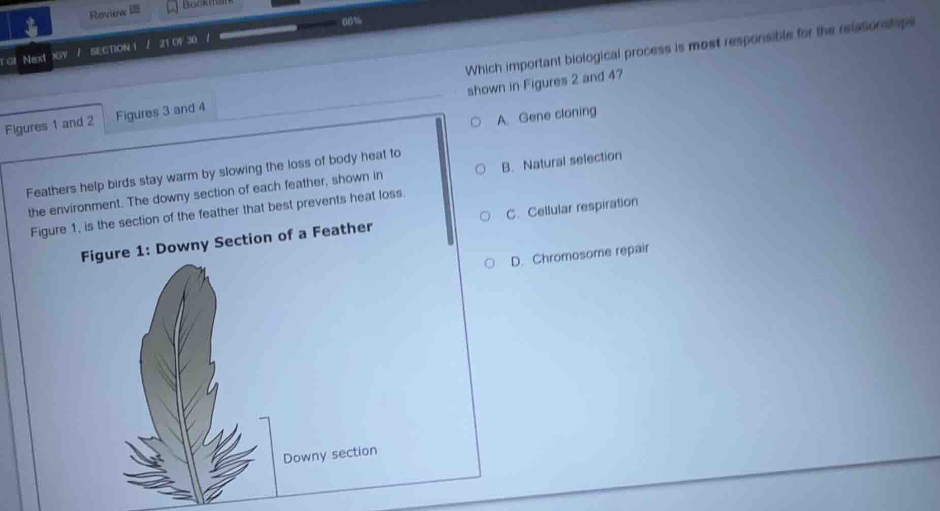 figures 1 and 2 figures 3 and 4 feathers help birds stay warm by slowin…