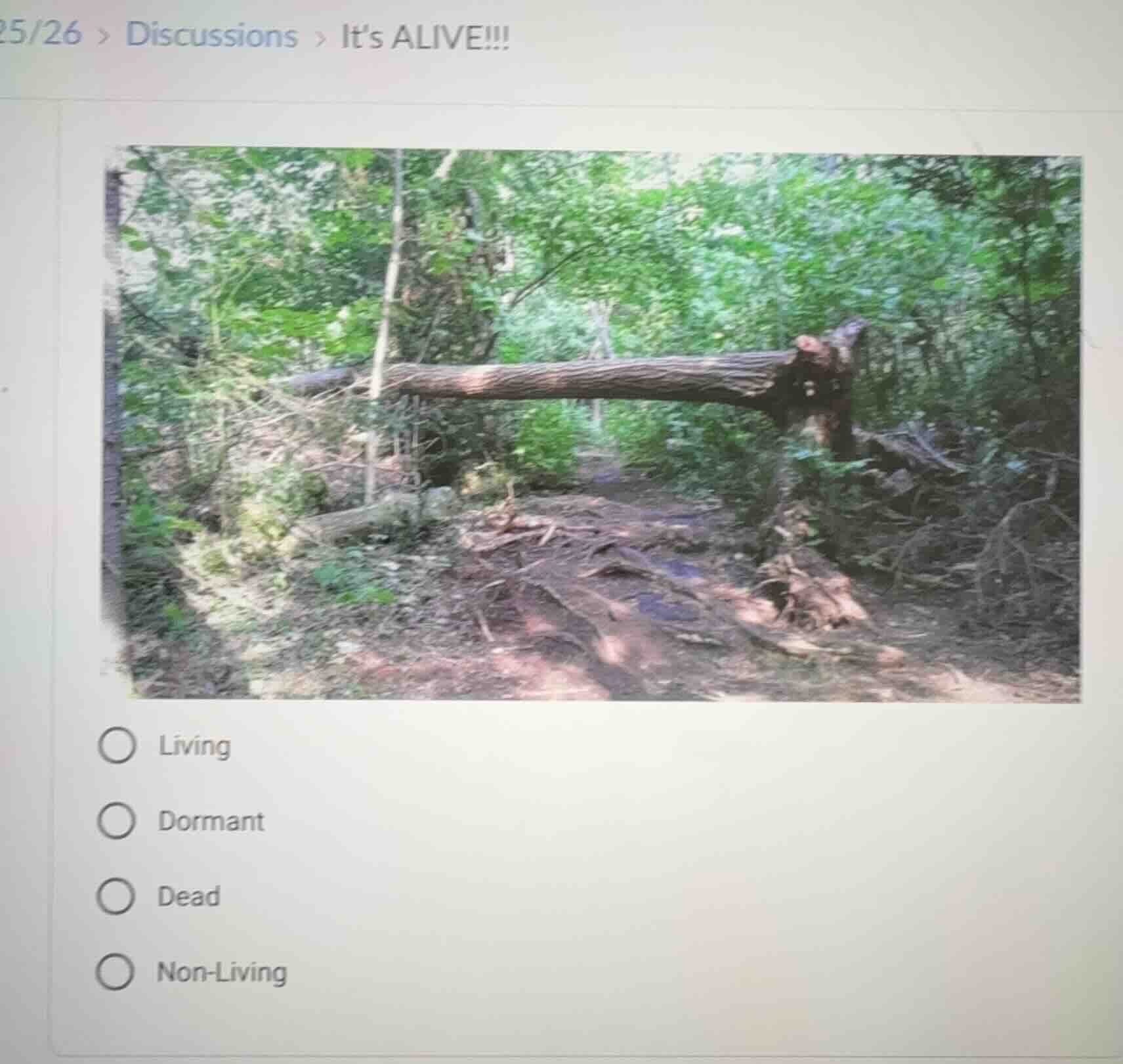 25/26 > discussions > its alive!!! options: ○ living ○ dormant ○ dead ○…