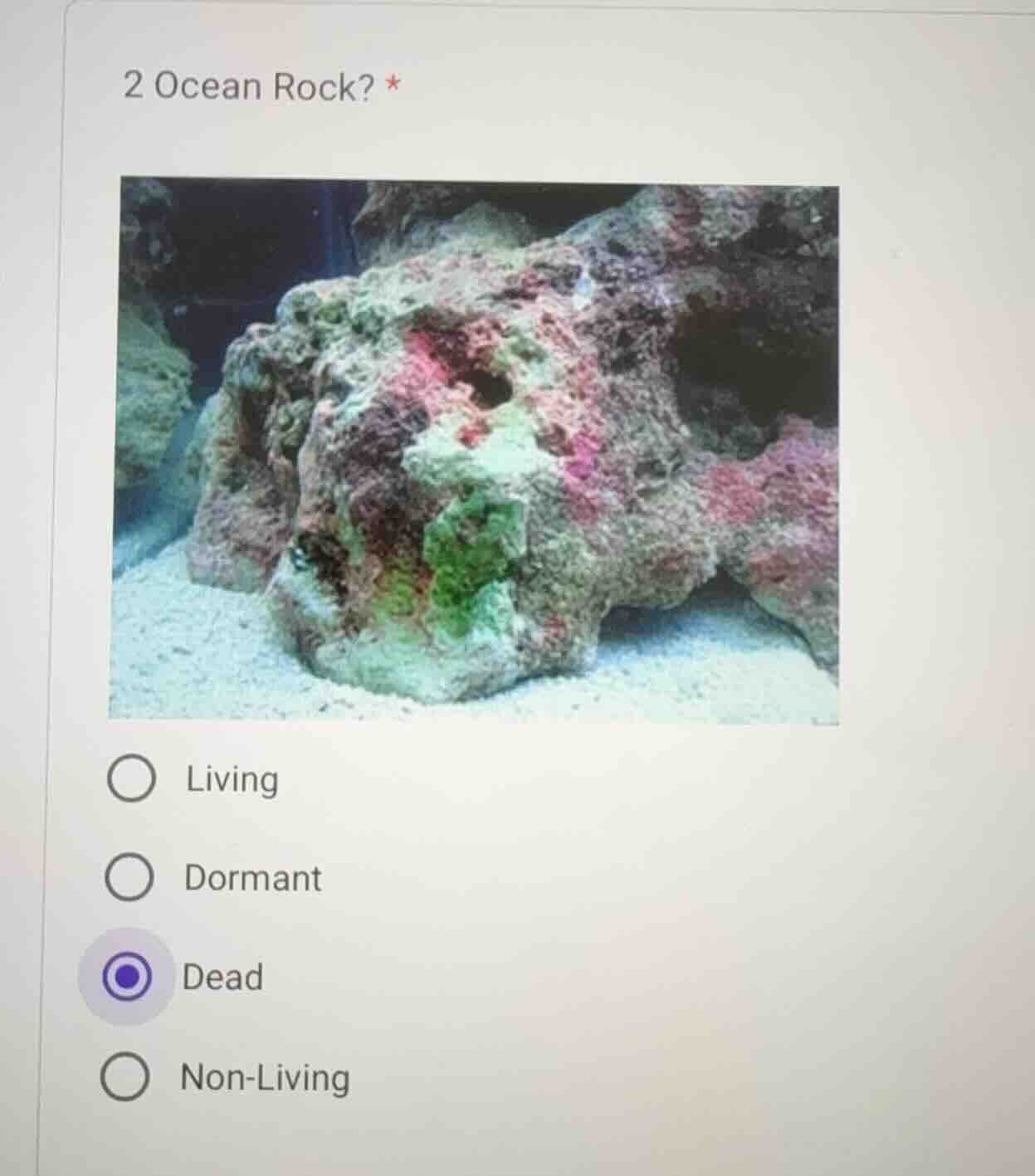 2 ocean rock? * options: living, dormant, dead, non - living
