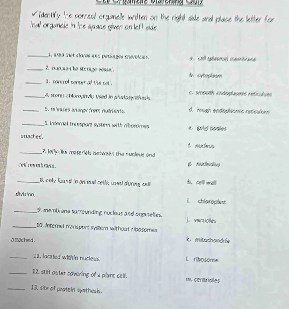 cell organelle matching quiz ✓ identify the correct organelle written o…