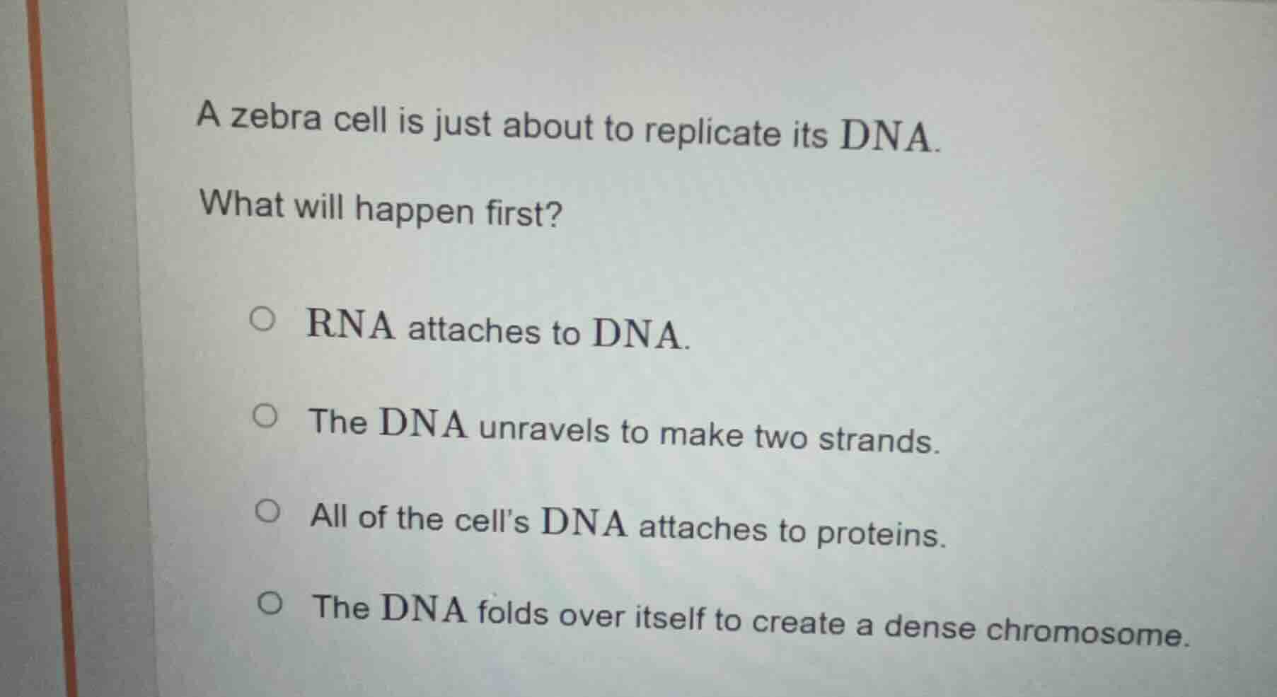 a zebra cell is just about to replicate its dna. what will happen first…