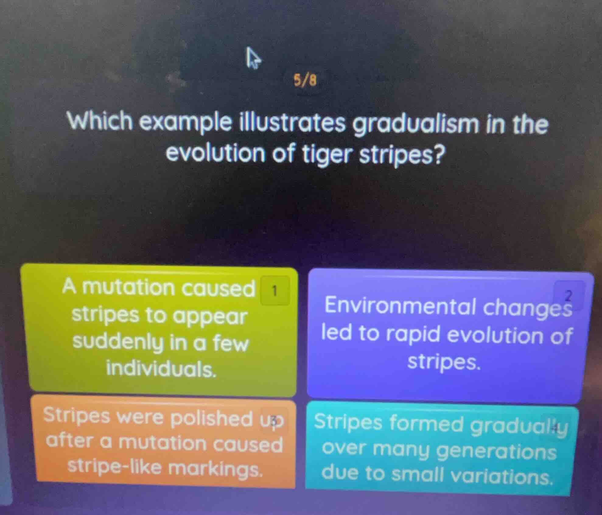 which example illustrates gradualism in the evolution of tiger stripes?…