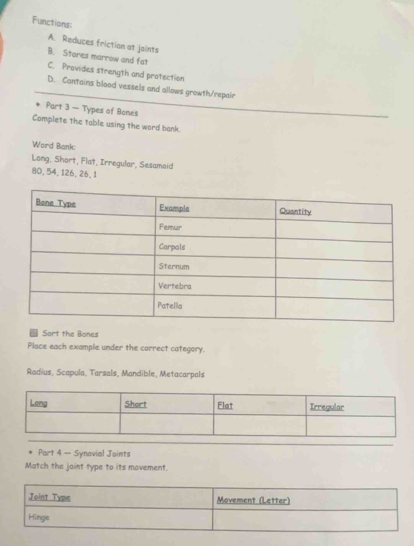 functions: a. reduces friction at joints b. stores marrow and fat c. pr…