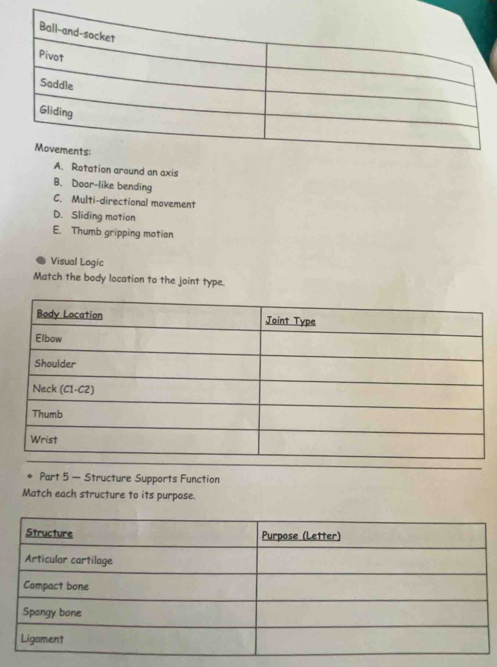 ball-and-socket pivot saddle gliding movements: a. rotation around an a…