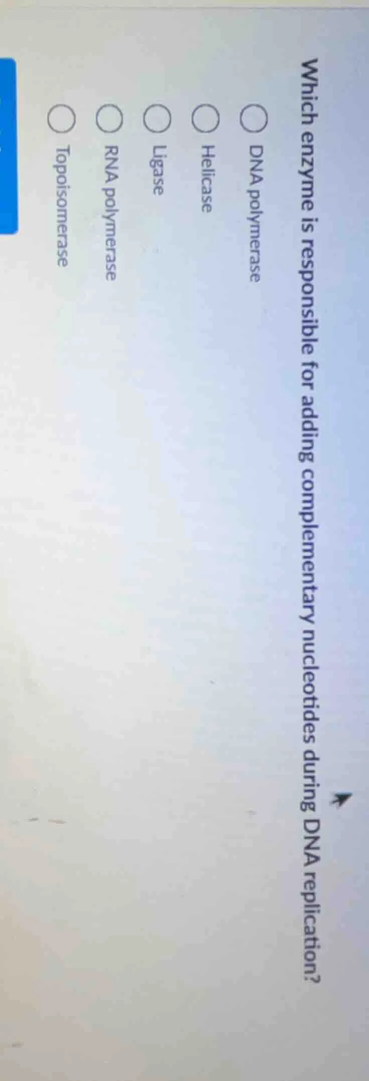 which enzyme is responsible for adding complementary nucleotides during…
